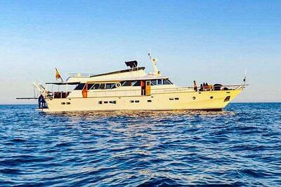 CRN Custom Ocean falcon